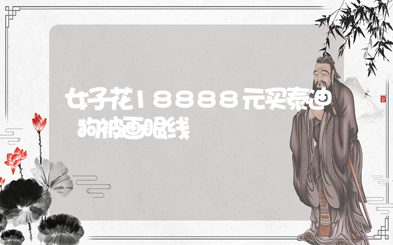 女子花18888元买泰迪 狗被画眼线插图